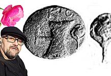Стефан Пройнов: Една от най-редките монети и розата